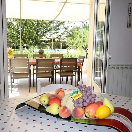 Carpe Diem Fabrègues